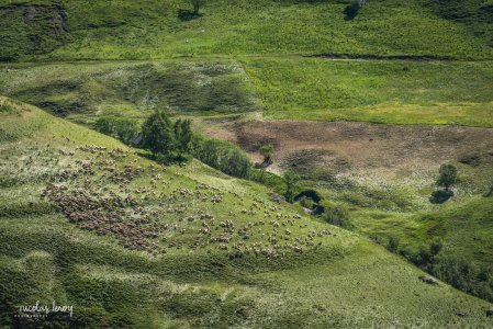 Jul 13, 2024 • Plateau d'Emparis - Bivouac au Lac Noir