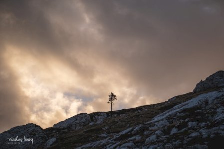 May 02, 2025 • Vercors - Pas de l'Oeille