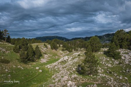 May 18, 2025 • Vercors - Sommet de Tourte-Barreaux