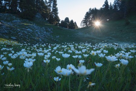 May 22, 2026 &bull; Vercors - Tête de la Graille